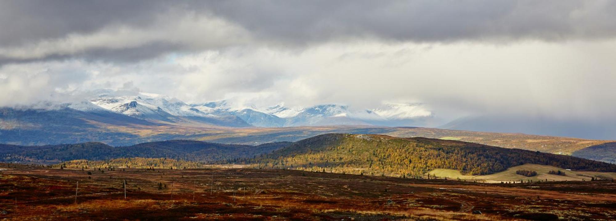 Storefjell - Panorama